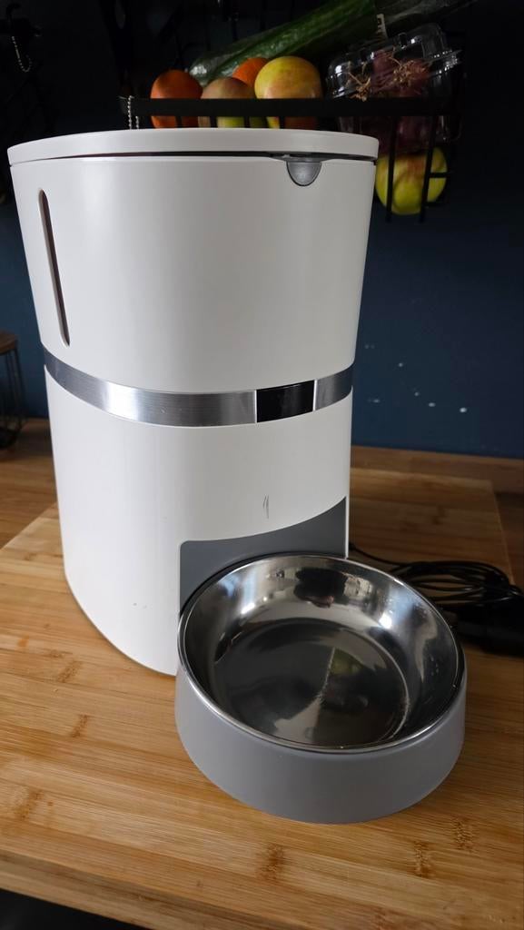 Welltobe automatische voederbak voor katten, Dieren en Toebehoren, Ophalen, Kat