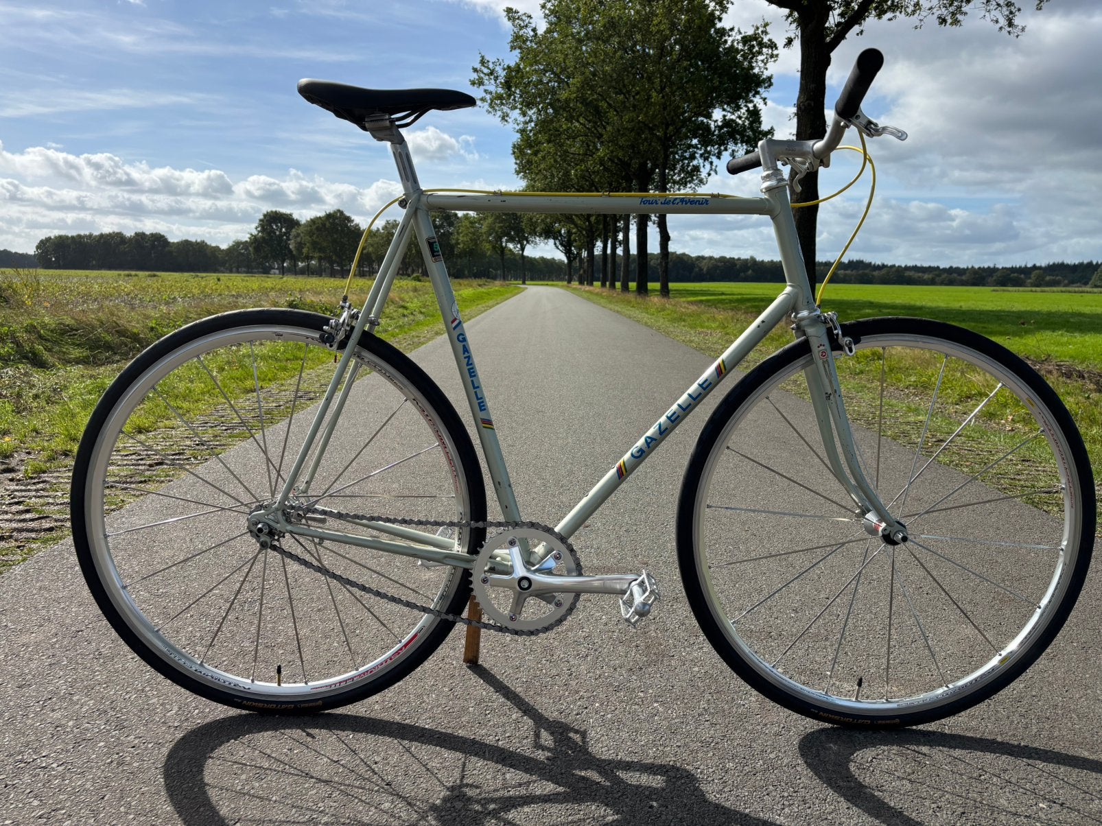 Gazelle tour de  l’Avenir racefiets single speed, Fietsen en Brommers, Ophalen, Staal, Velgrem, Zo goed als nieuw