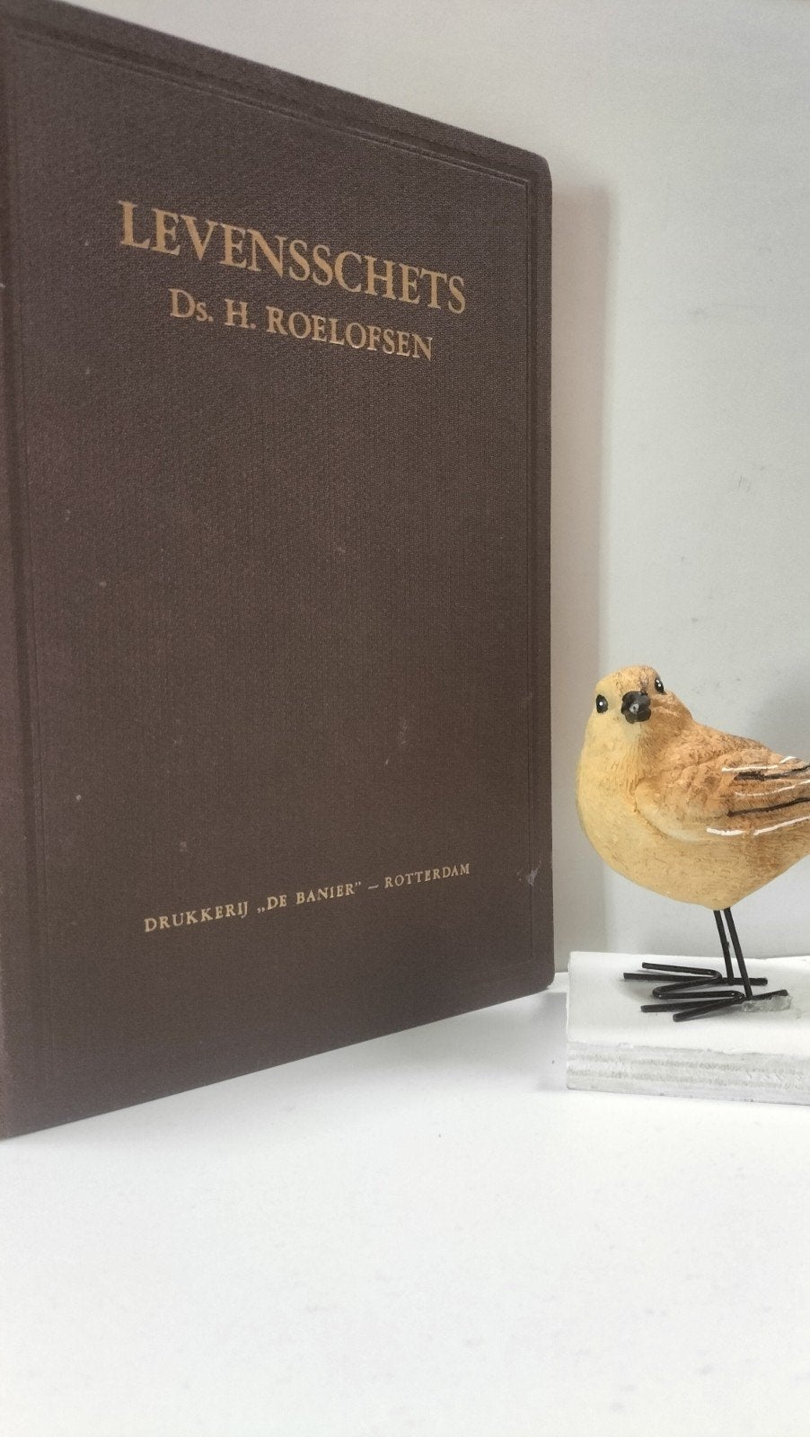 Roelofsen, ds H.; Levensschets, Ophalen of Verzenden, Gelezen, Christendom | Protestants