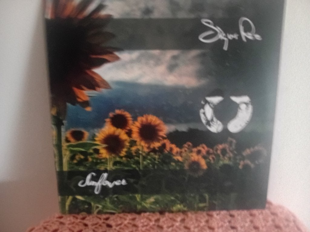 Lp sigur ross live, LP, Rock, Ophalen of Verzenden, Zo goed als nieuw