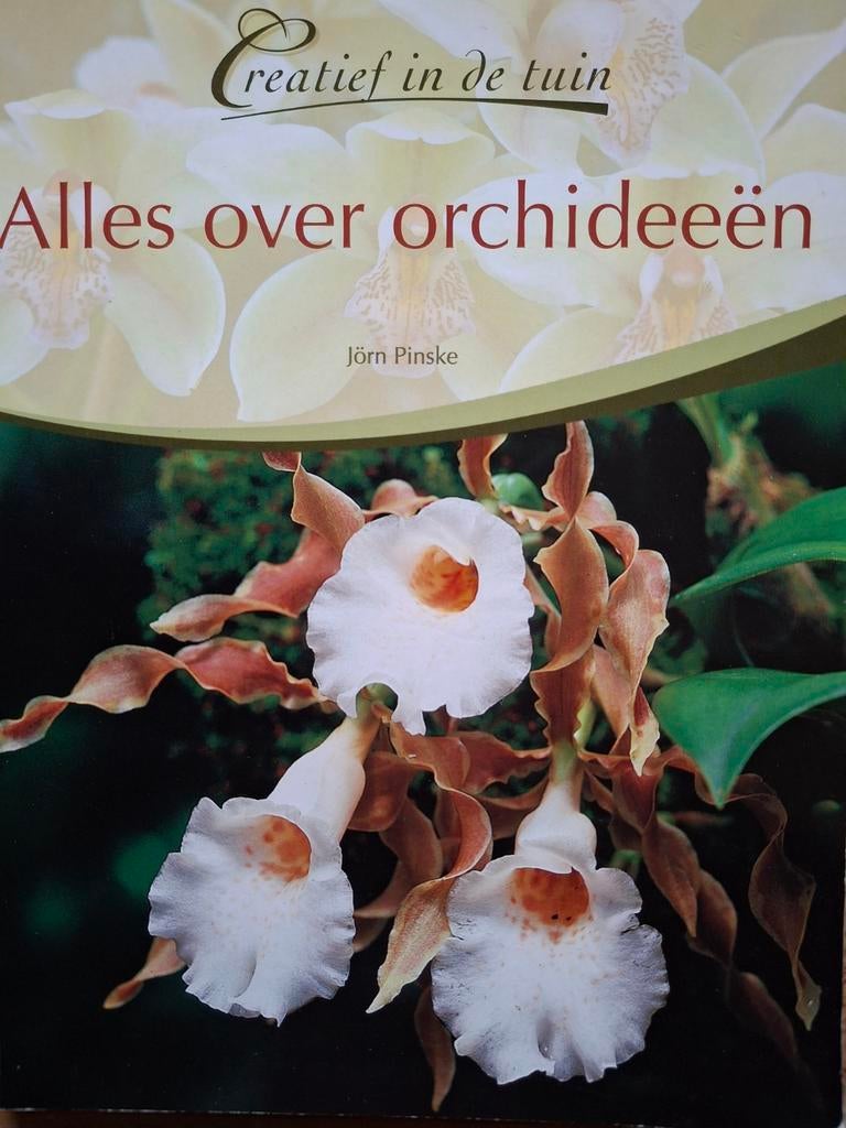 Orchideeën Creatief in de tuin Jörn Pinske kas bloemenzaak, Ophalen of Verzenden, Zo goed als nieuw, Jörn Pinske, Tuinieren en Tuinplanten