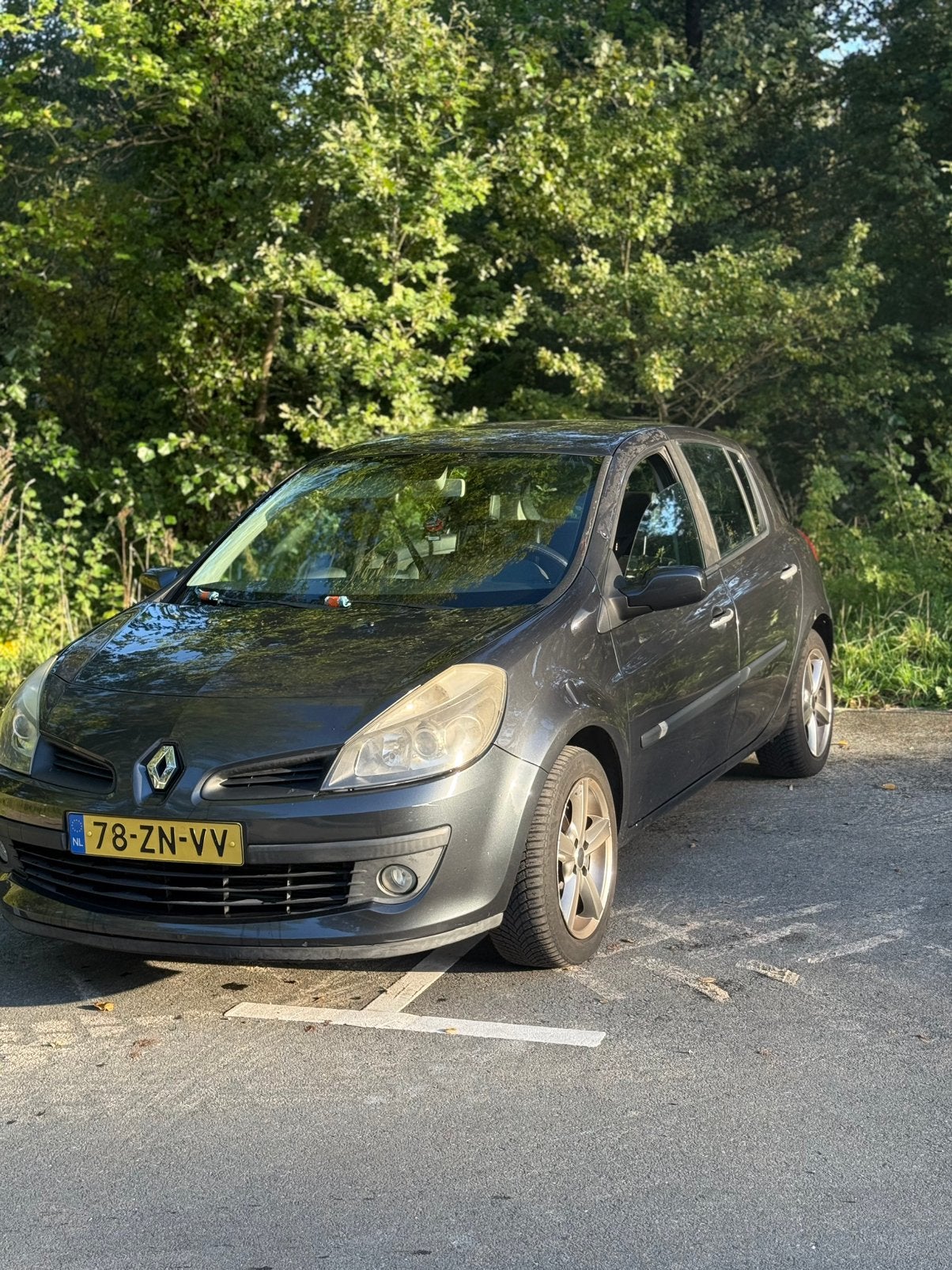 Renault Clio 1.2 TCE 5-DRS 2008 Grijs, Voorwielaandrijving, 535 kg, 4 cilinders, 100 pk
