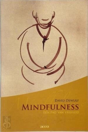 David Dewulf Mindfulness, Boeken, Esoterie en Spiritualiteit, Zo goed als nieuw, Overige typen, Overige onderwerpen, Ophalen of Verzenden