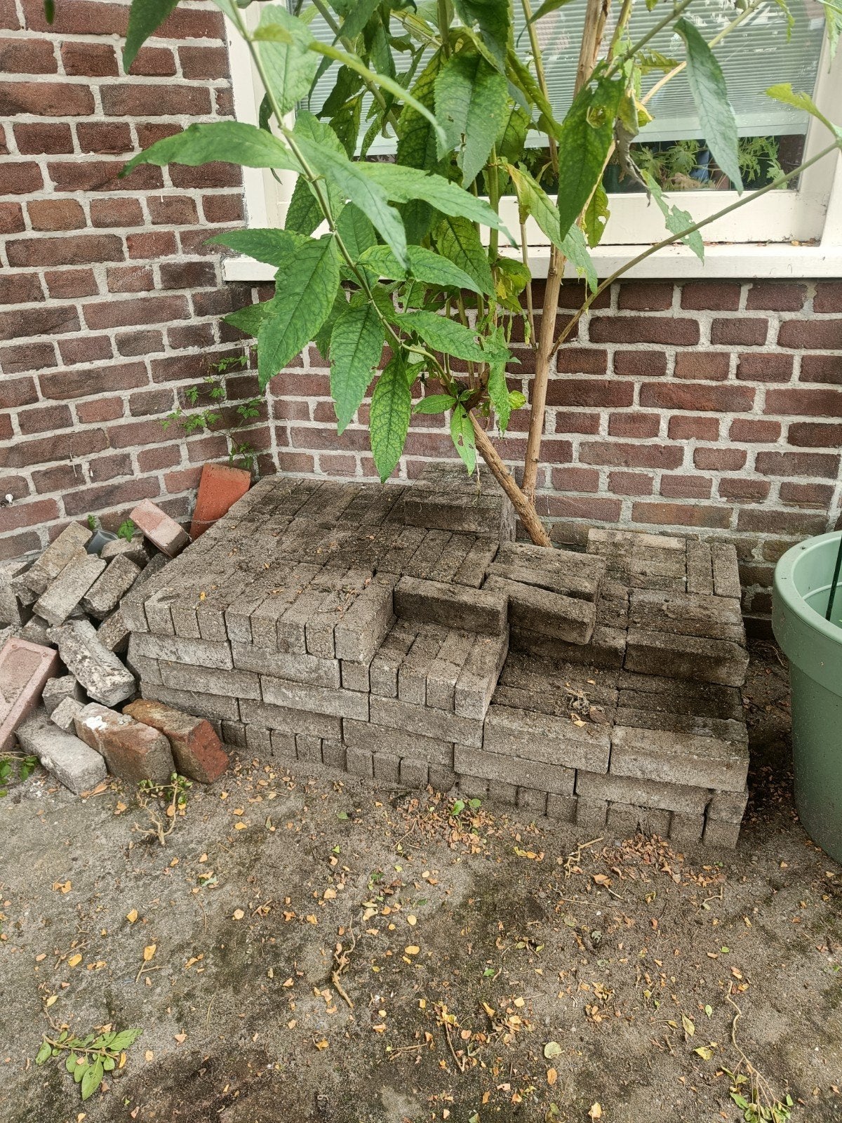 Waaltjes rest partij ca 200 stuks, Ophalen