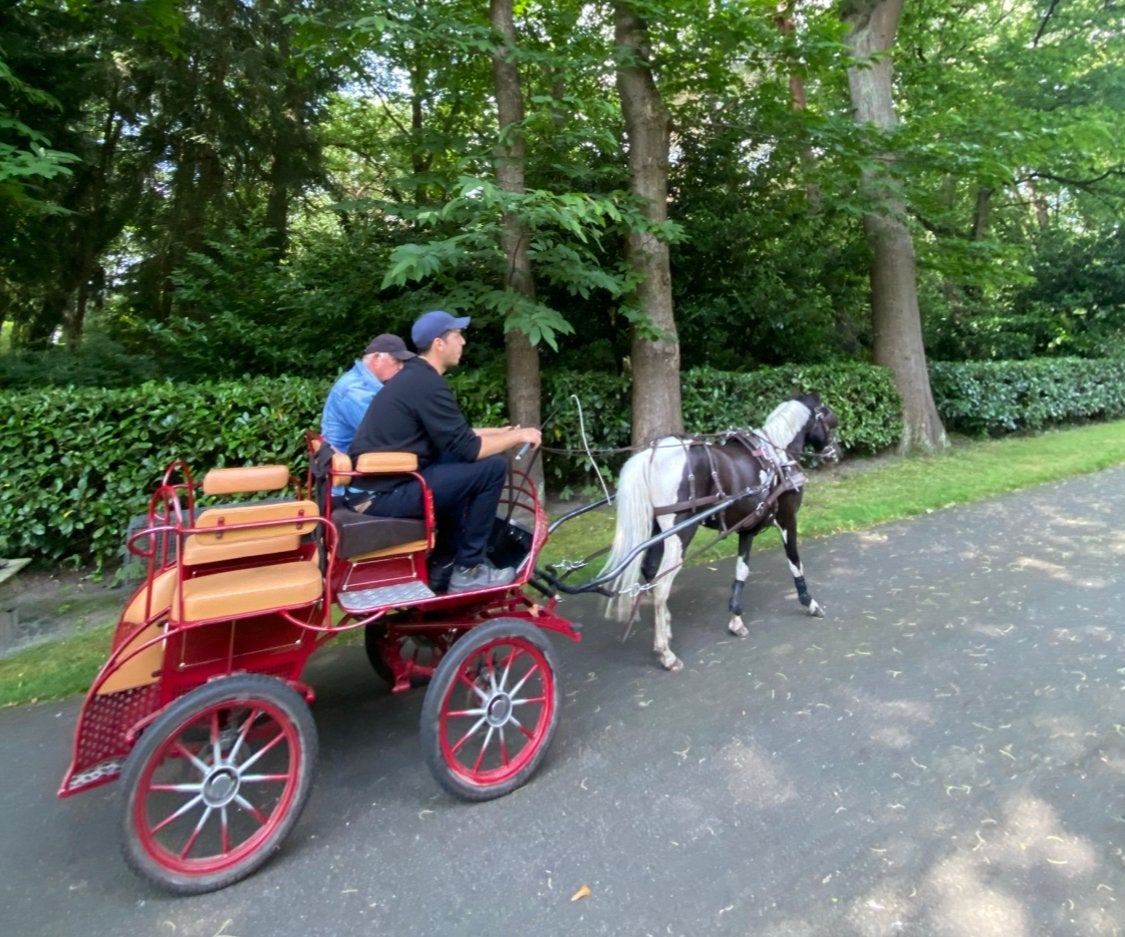 Ponywagen a/b pony, rood in super staat, Pony