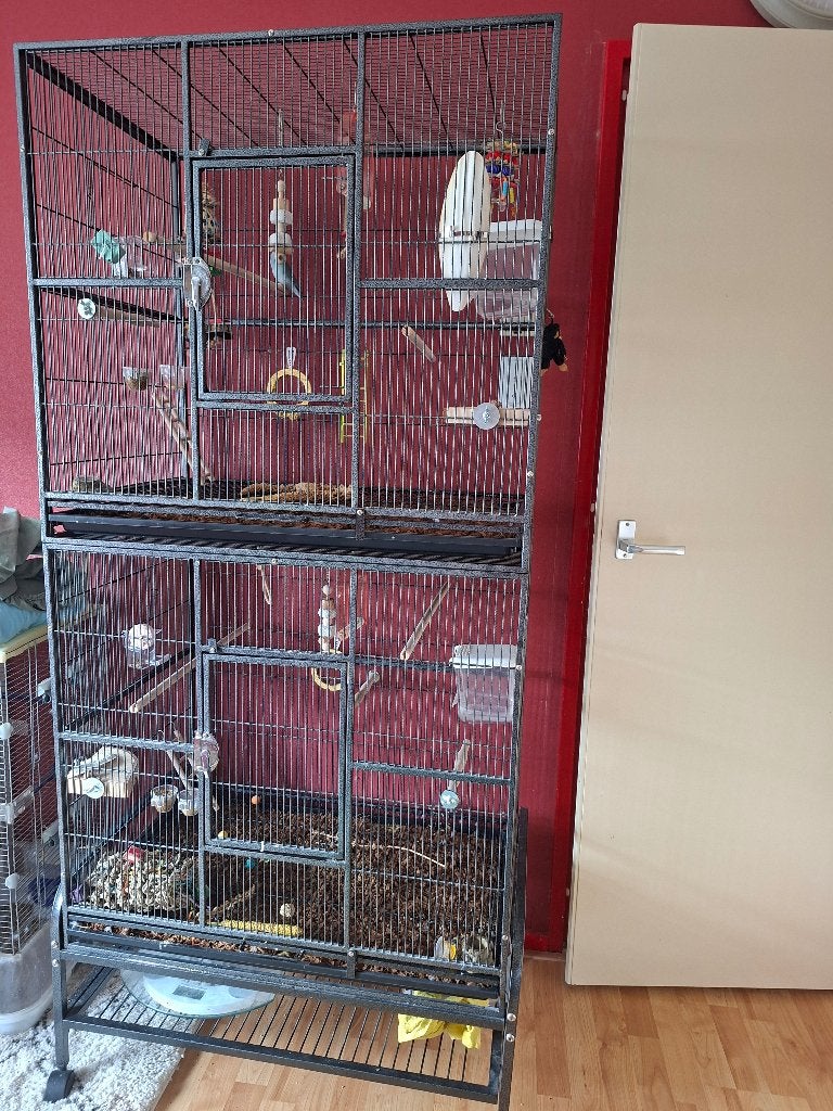 strong dubbele vogelkooi, Ophalen, Zo goed als nieuw, Metaal, Vogelkooi