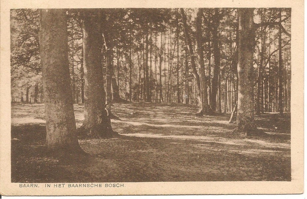 Oude ansichtkaart Baarn, In het Baarnsche Bosch, Verzamelen, Ophalen of Verzenden, 1920 tot 1940, Gelopen, Utrecht