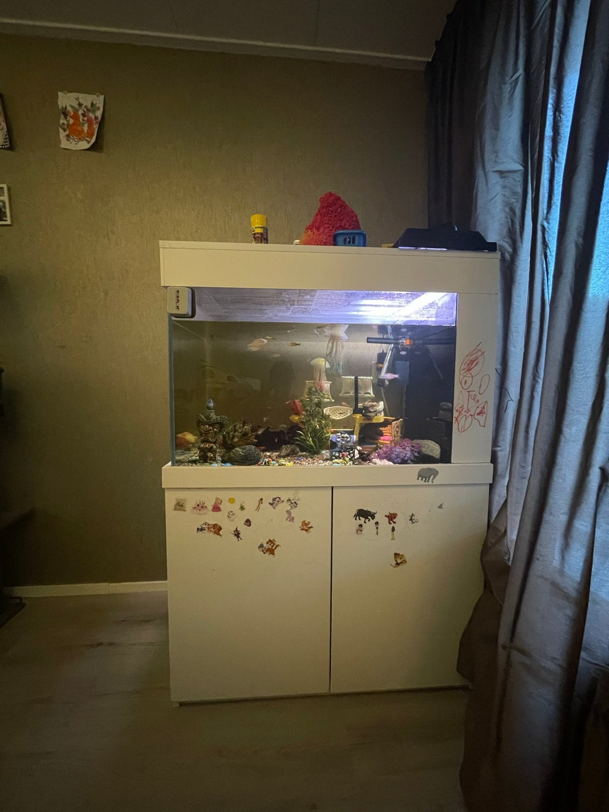 COMPLEET AQUARIUM!!! 500L, Ophalen, Zo goed als nieuw, Gevuld zoetwateraquarium