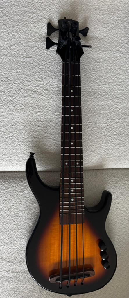 Kala Solid Body U-Bass Sunburst, Ophalen of Verzenden, Nieuw