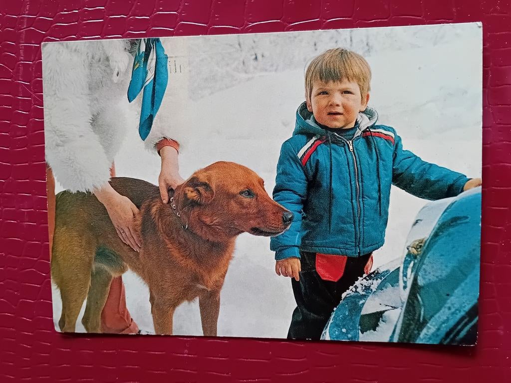 Ansichtkaart Koninklijk Huis, Ophalen of Verzenden, Zo goed als nieuw, Kaart, Foto of Prent