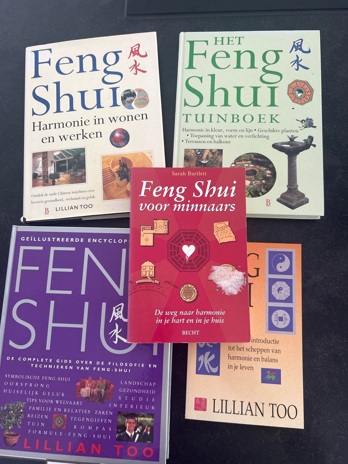 5x Feng Shui Boeken Collectie - Harmonie in Huis en Leven, Ophalen of Verzenden, Gelezen, Spiritualiteit algemeen, Achtergrond en Informatie