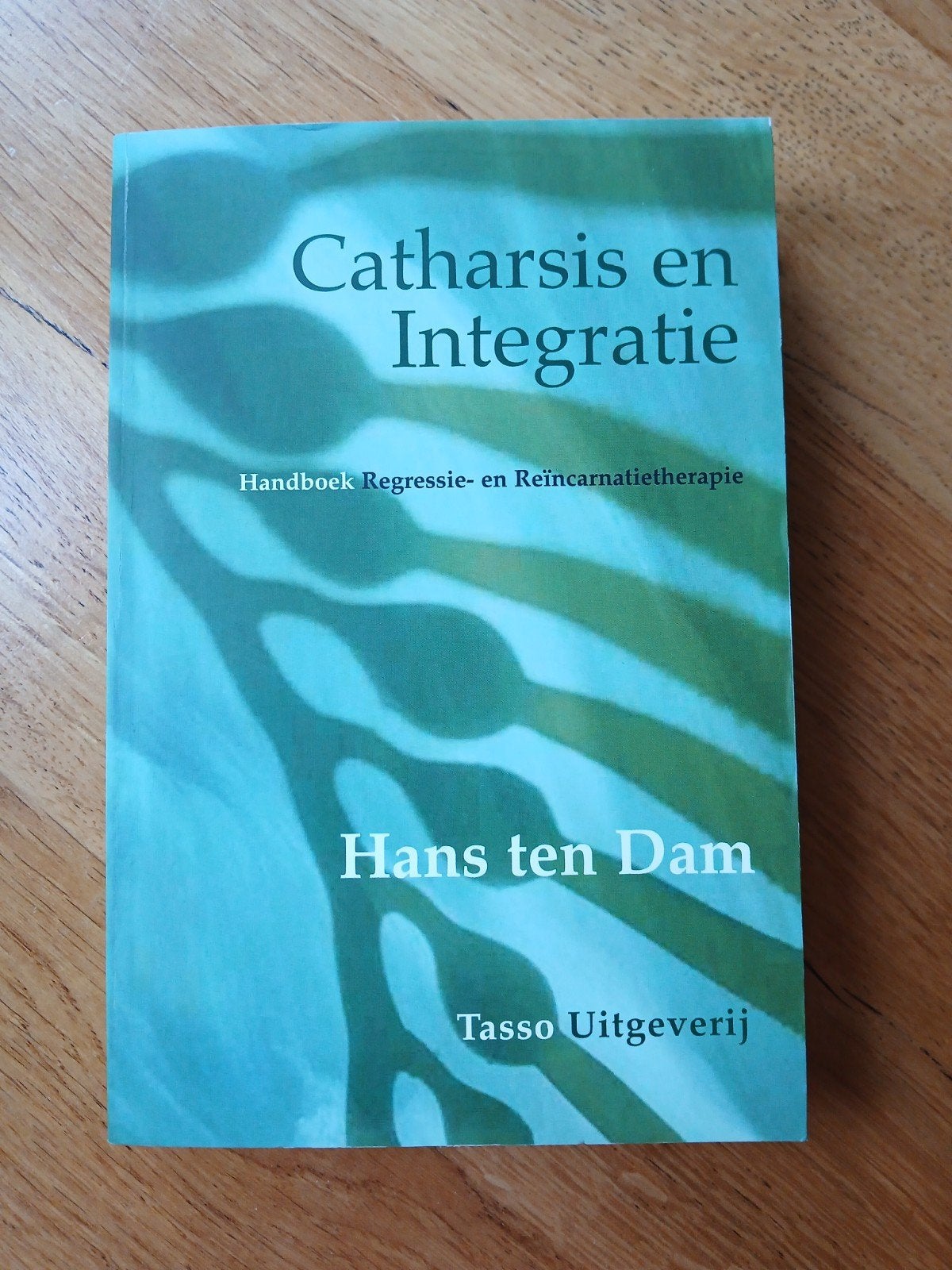 Catharsis en integratie - H. ten Dam - 9789075568127, Boeken, Ophalen of Verzenden, Zo goed als nieuw, Spiritualiteit algemeen