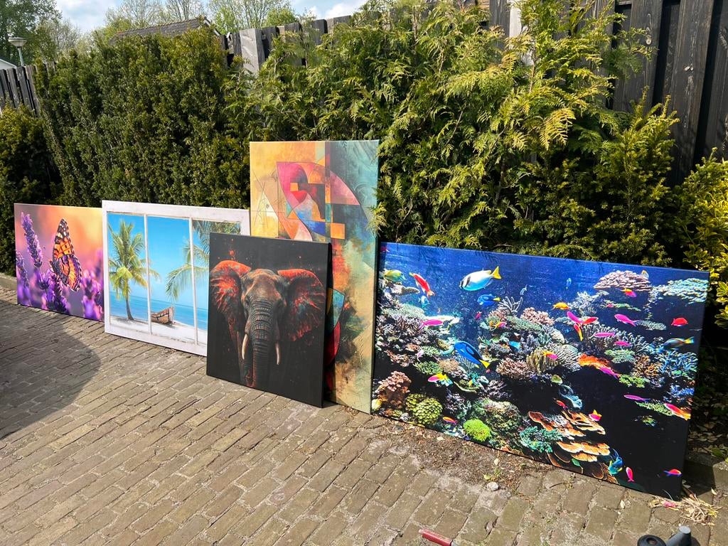 5 canvassen zie foto samen €40,!!!, Ophalen, Minder dan 50 cm, Schilderij