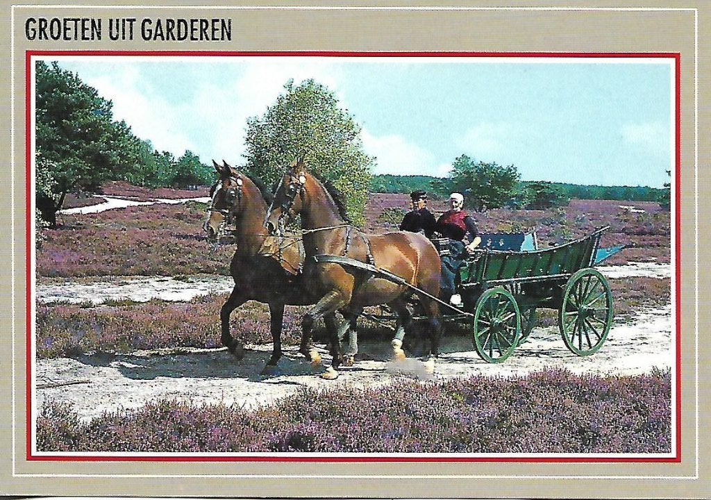 Garderen- -Tweespan op de heide., Verzenden, 1980 tot heden, Gelopen, Gelderland