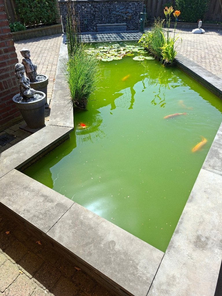 Compleet: Opruimen vijver, Ophalen, Gebruikt