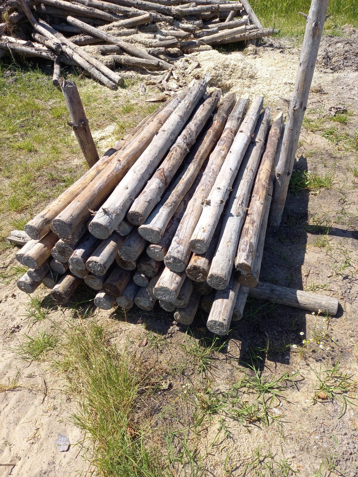 50 palen. 4 euro per paal., Ophalen, Gebruikt, 180 tot 250 cm, Palen