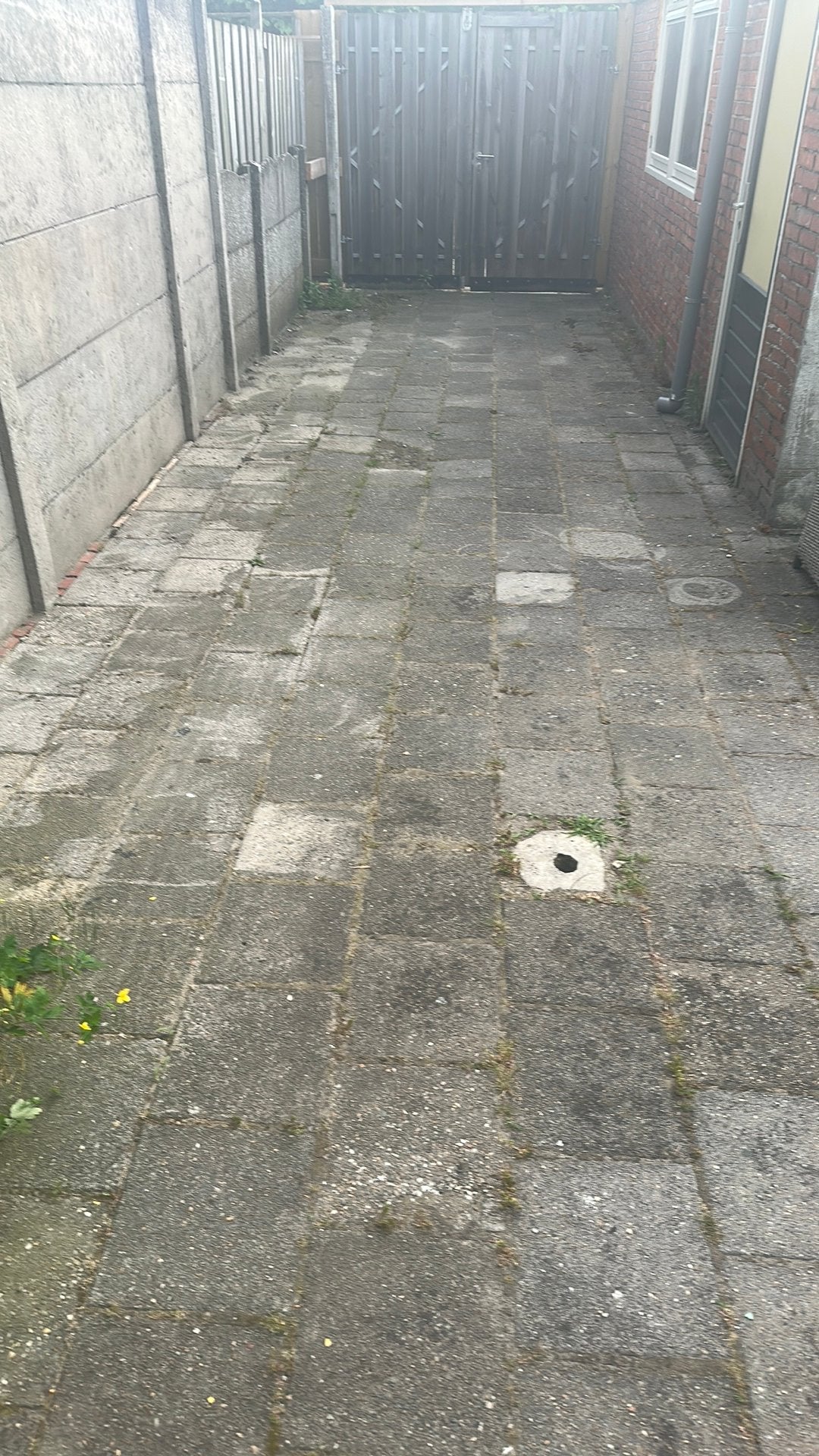 Gratis betontegels - zelf eruit halen, Tuin en Terras, Tegels en Klinkers, Ophalen, Gebruikt, 10 m² of meer, Beton