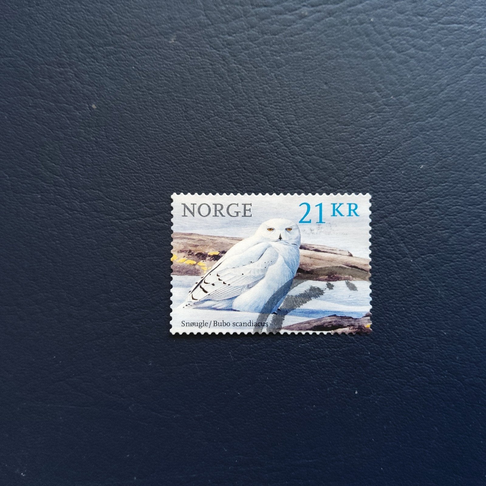 Noorse postzegel: Sneeuwuil (Bubo scandiacus) 21 KR, Ophalen of Verzenden