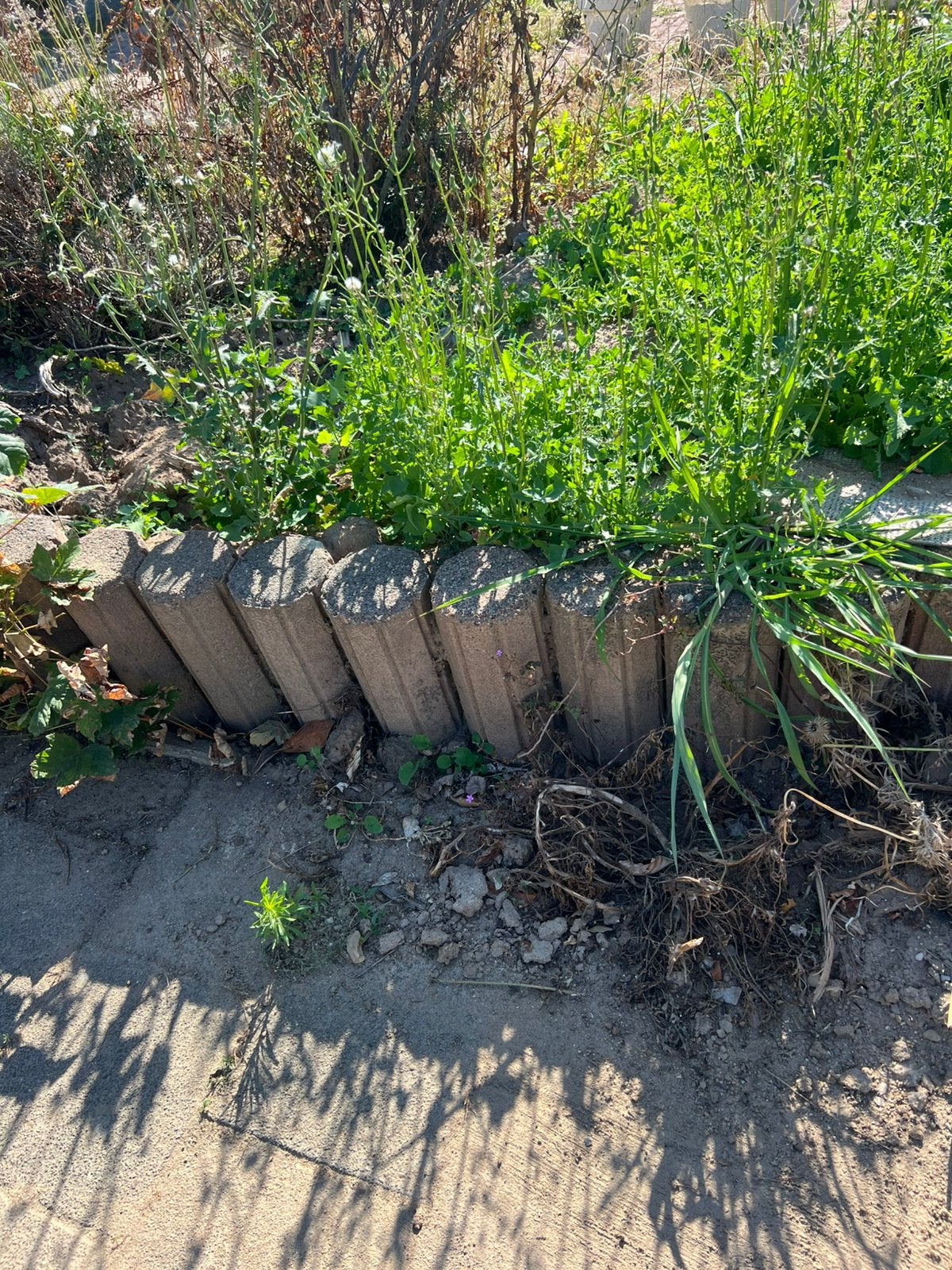 Stoep banden, Ophalen of Verzenden, Zo goed als nieuw, Minder dan 100 cm, Minder dan 25 cm
