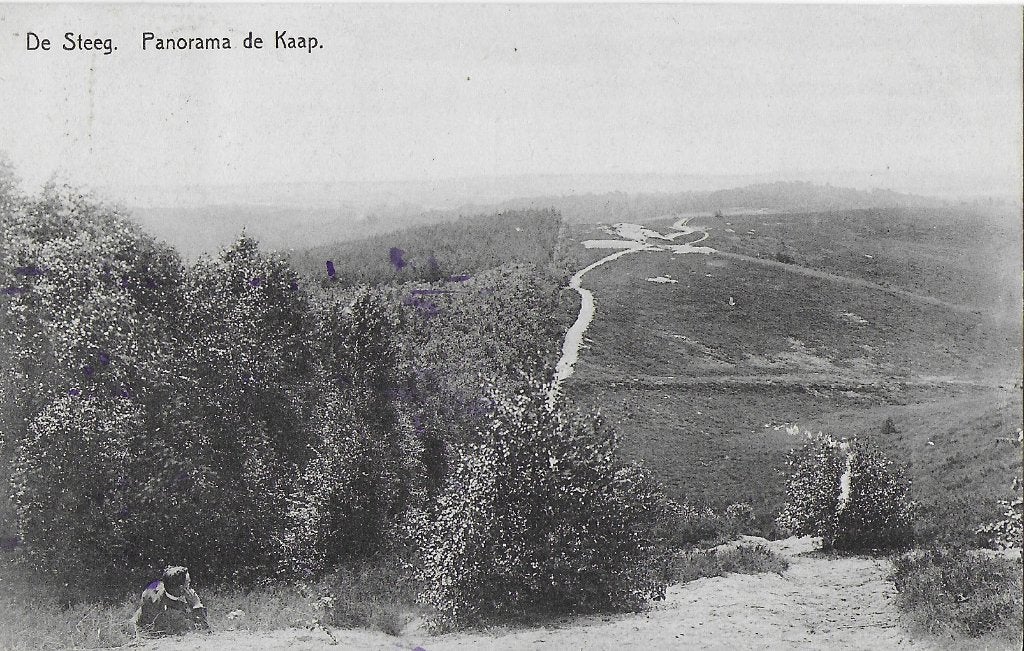 Pa1161 Oude gelopen Ansichtkaart De Steeg Panorama de Kaap, Ophalen of Verzenden, 1960 tot 1980, Gelopen, Gelderland