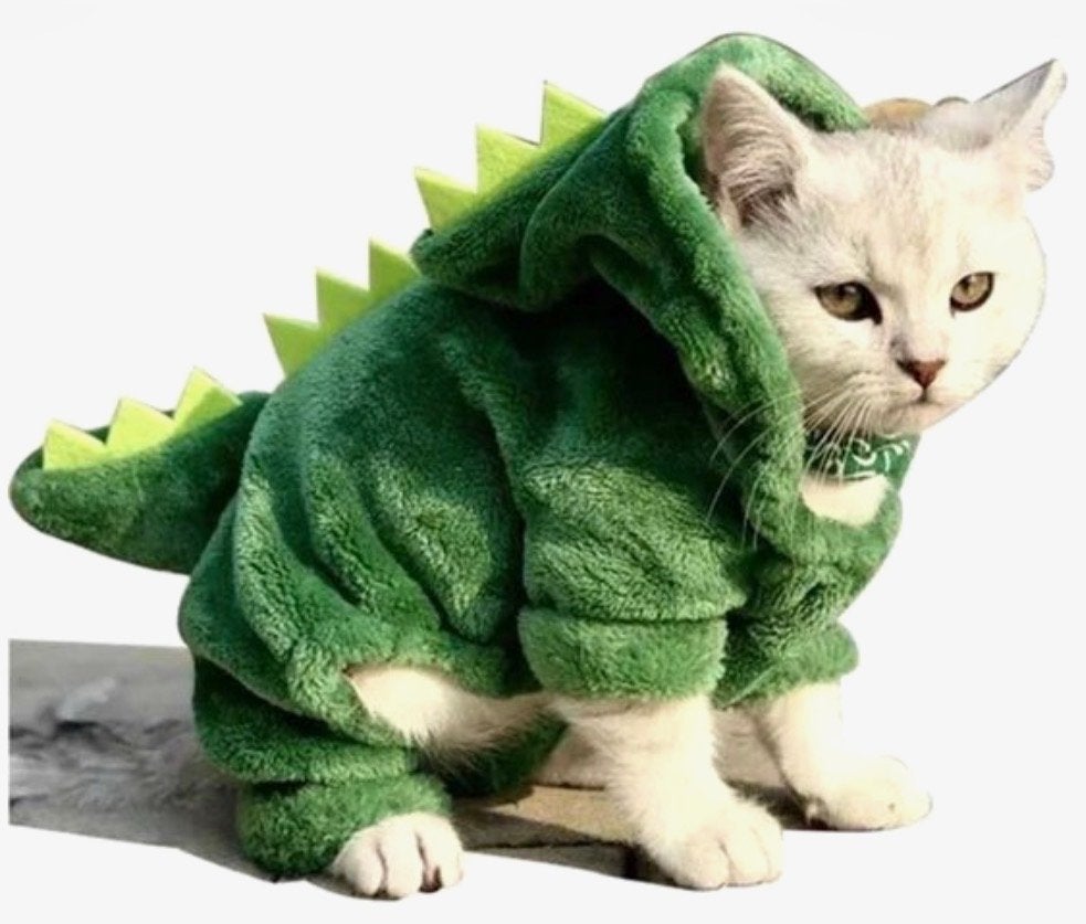 Nieuw krokodillenpakje voor hondje of kat, Ophalen of Verzenden, Nieuw, Hondenkostuum, S