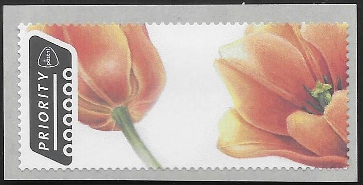 Automaatzegel Tulp Post & Go, zonder waarde indruk., Postzegels en Munten, Postzegels | Nederland, Ophalen of Verzenden, Na 1940