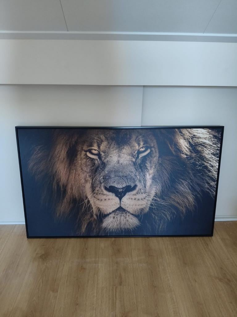 Schilderij Leeuw (118x70 cm), Antiek en Kunst, Ophalen