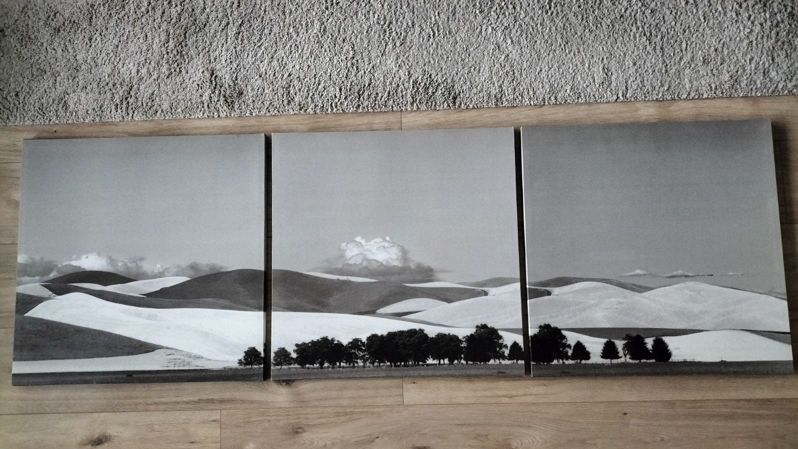 Ikea drieluik 3x56x56.
IKEA Landscape wanddecoratie, Ophalen of Verzenden, 1980 tot heden