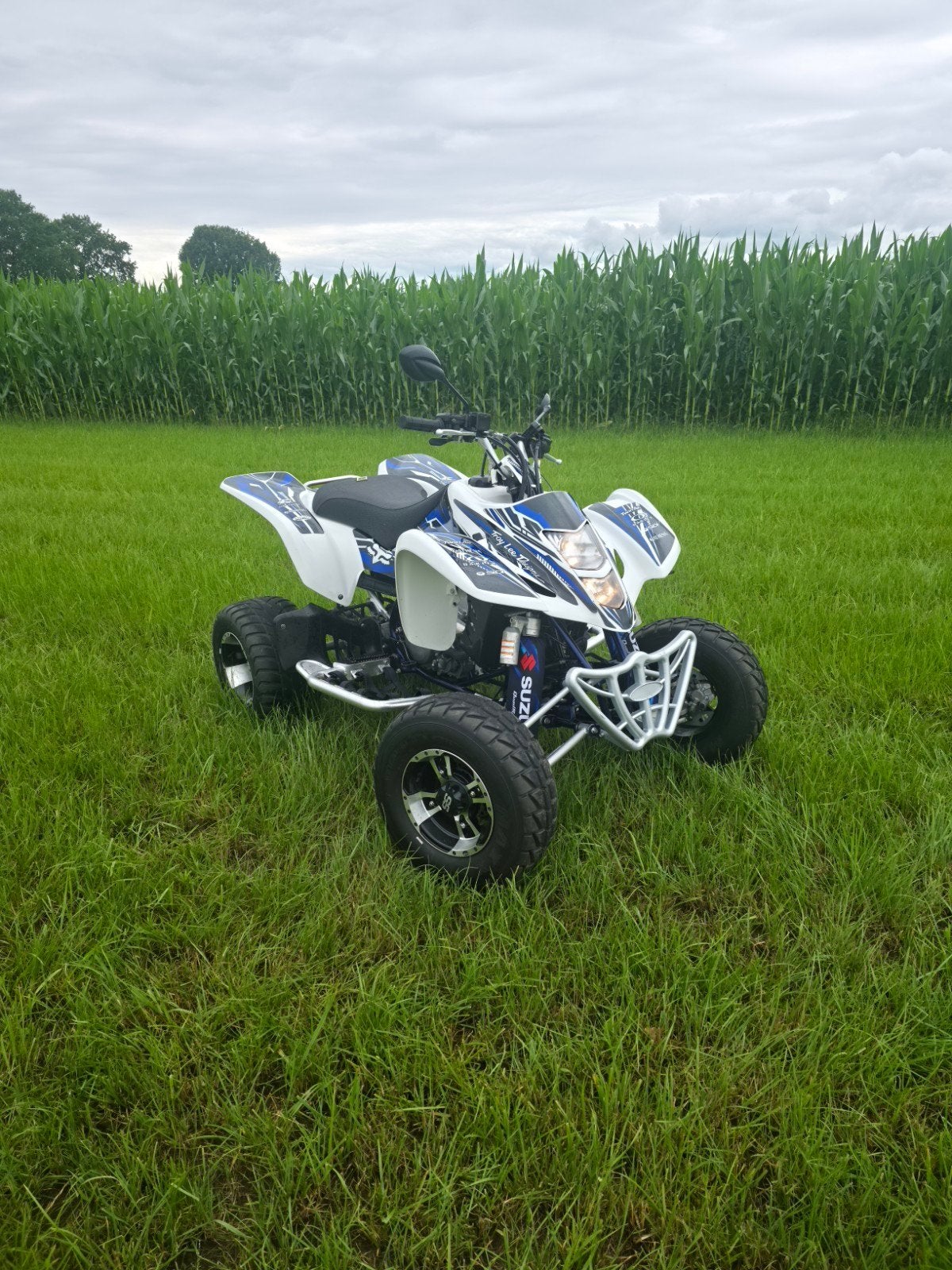 Suzuki LTZ 400 Quad - 2008 Model, Motoren, 1 cilinder