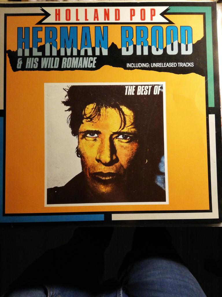 Herman Brood & His Wild Romance - The Best Of (LP), Ophalen of Verzenden, Gebruikt, 12 inch