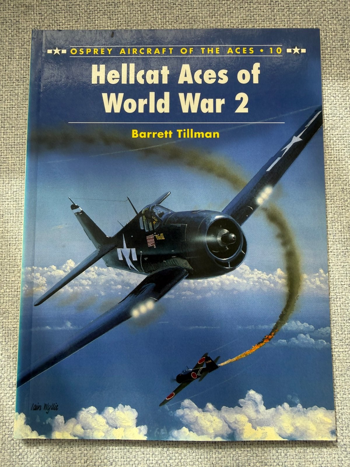 Osprey Aircraft of the Aces 10 Hellcat Aces of World War 2, Tweede Wereldoorlog, Ophalen of Verzenden, Zo goed als nieuw, Luchtmacht