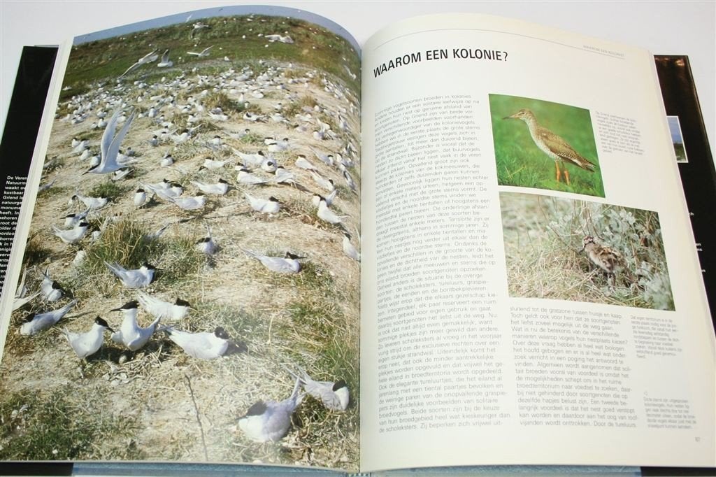 Griend Waddenzee — Vogeleiland Natuurboek Groot Formaat, Ophalen of Verzenden, Gelezen, Vogels