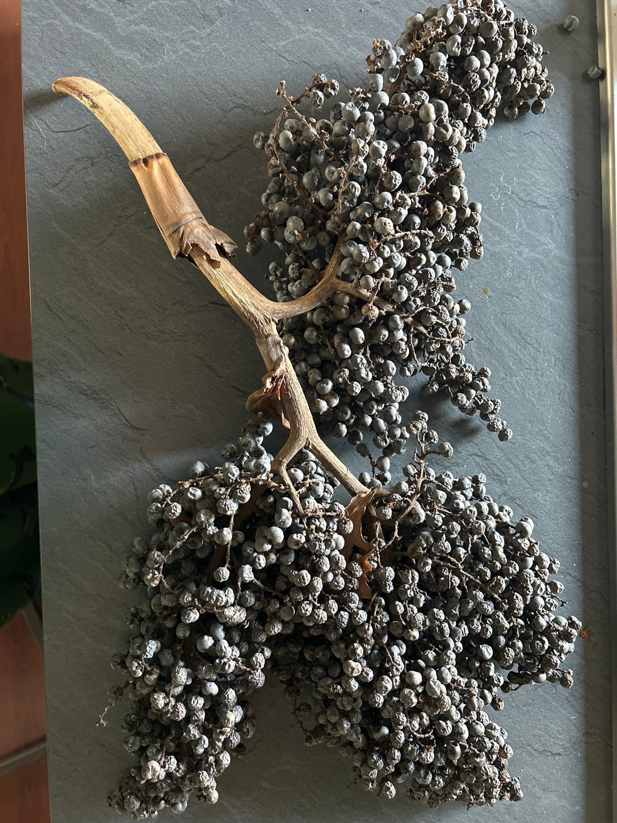 Decoratieve gedroogde bessen tak, Huis en Inrichting, Ophalen, Gebruikt, Landelijk, Natuurlijk materiaal