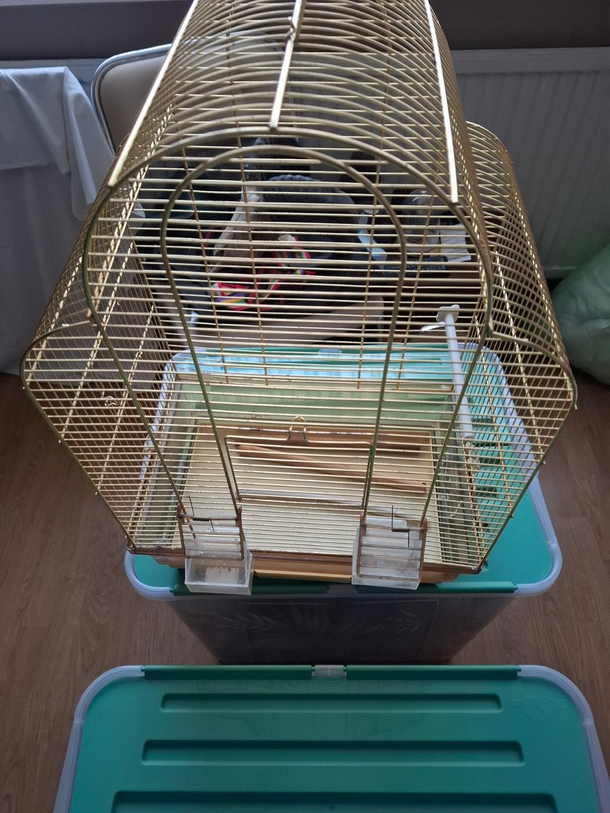 vogelkooi, Ophalen of Verzenden, Gebruikt, Metaal, Vogelkooi