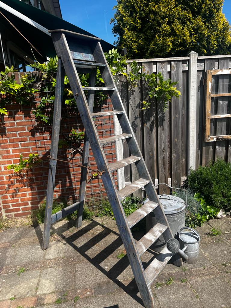 Hoge houten ladder - Decoratief of functioneel, Doe-het-zelf en Verbouw, Ladders en Trappen, Ophalen, Zo goed als nieuw, Ladder