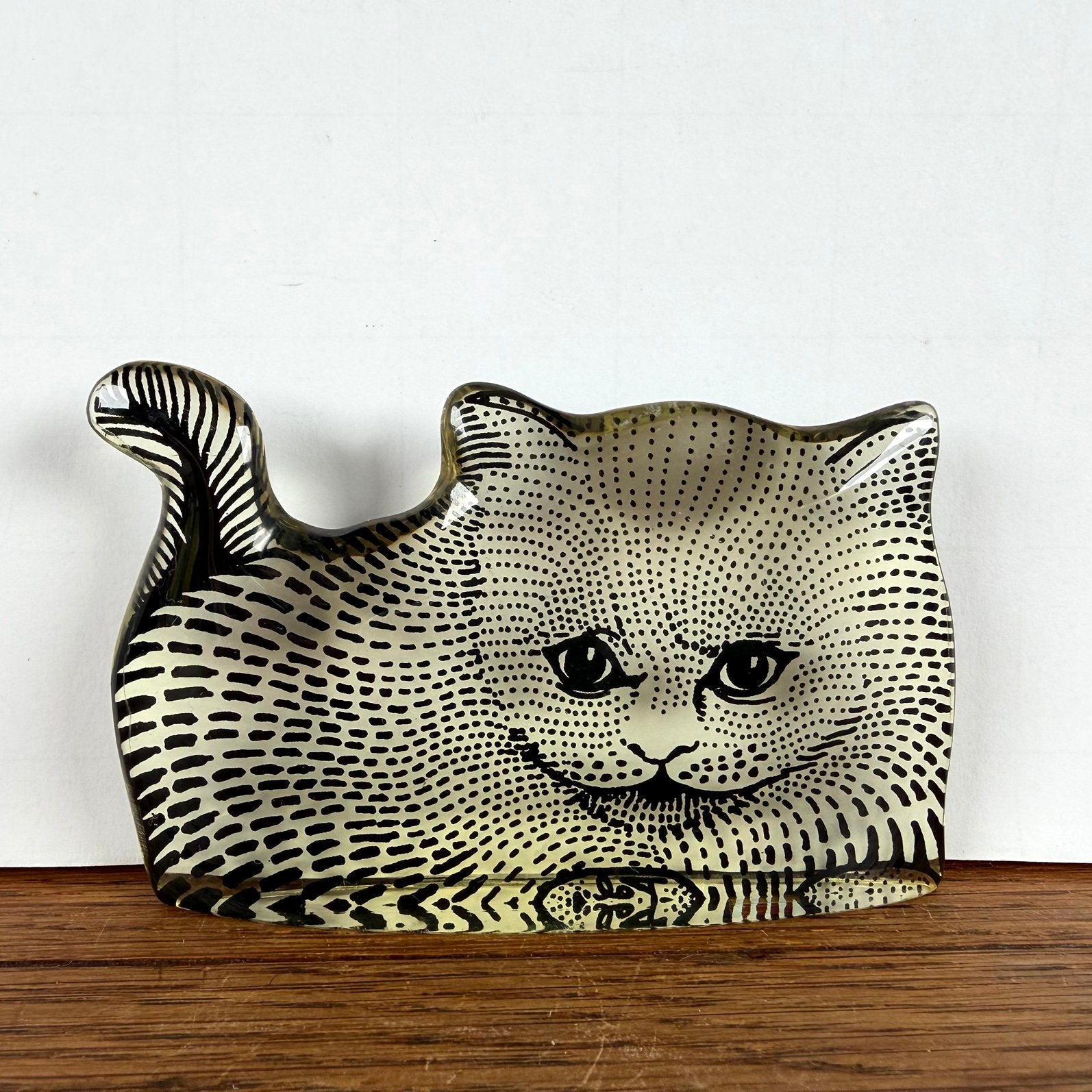 Vintage lucite kat van Abraham Palatnik, Antiek en Kunst, Ophalen of Verzenden