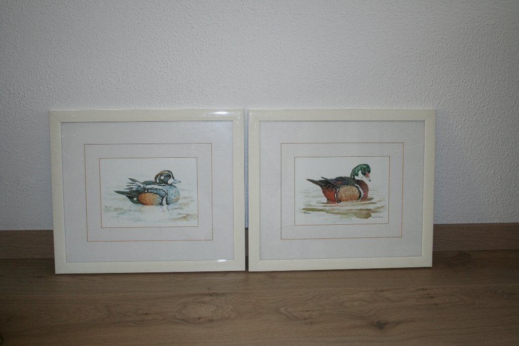 Eenden, Antiek en Kunst, Ophalen of Verzenden, Achter glas, Dieren