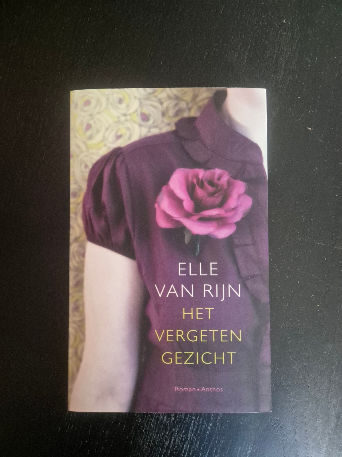 Het vergeten gezicht. Elle van Rijn., Boeken, Ophalen of Verzenden, Zo goed als nieuw
