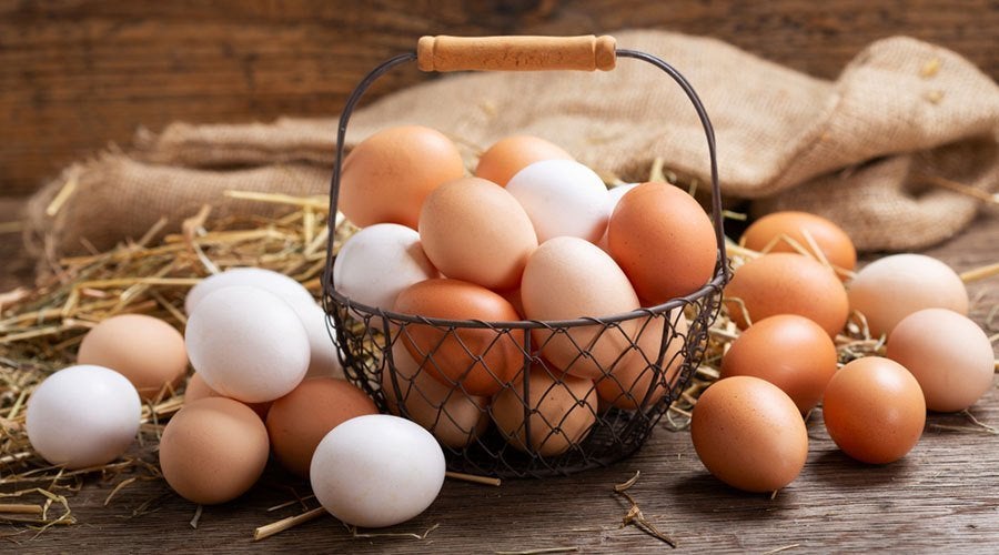 Eieren te koop 10 st voor €2,50, Dieren en Toebehoren, Pluimvee, Meerdere dieren, Kip