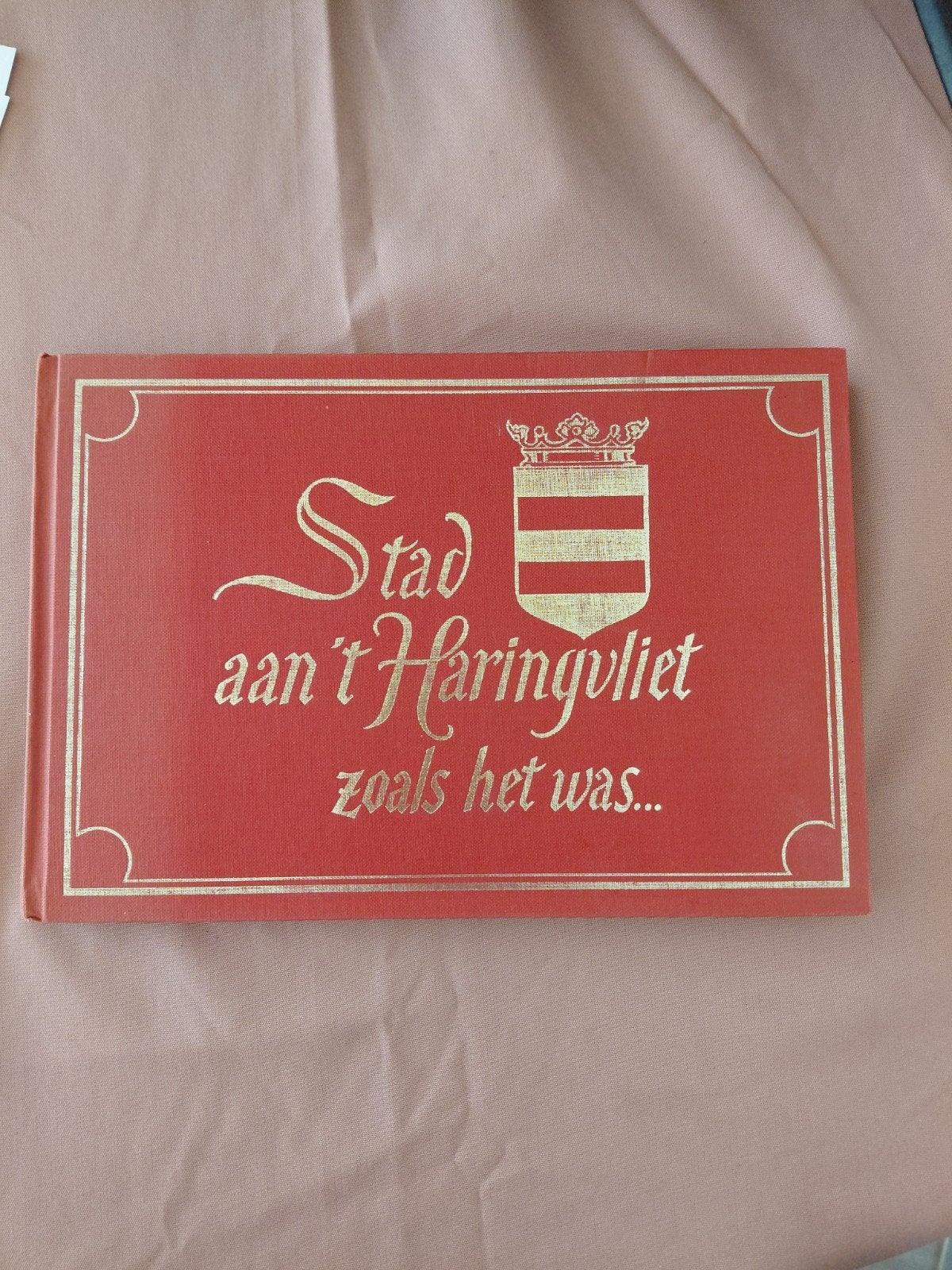 Stad aan ' t Haringvliet zoals het was..., Ophalen of Verzenden, Gelezen