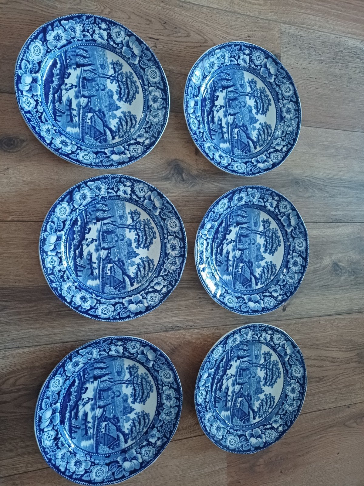 Set van 6 antieke blauw-witte borden 'Wild Rose' S&C, Ophalen of Verzenden