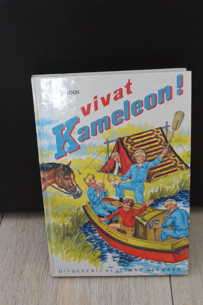 Boek Vivat Kameleon! - H. de Roos, Ophalen of Verzenden, Gelezen, H. de Roos, Fictie algemeen