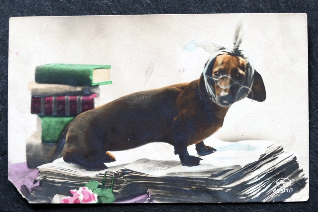 Teckel als intellectueel met kiespijn, 1929, zegel Letland, Ophalen of Verzenden, 1920 tot 1940, Gelopen, Hond of Kat