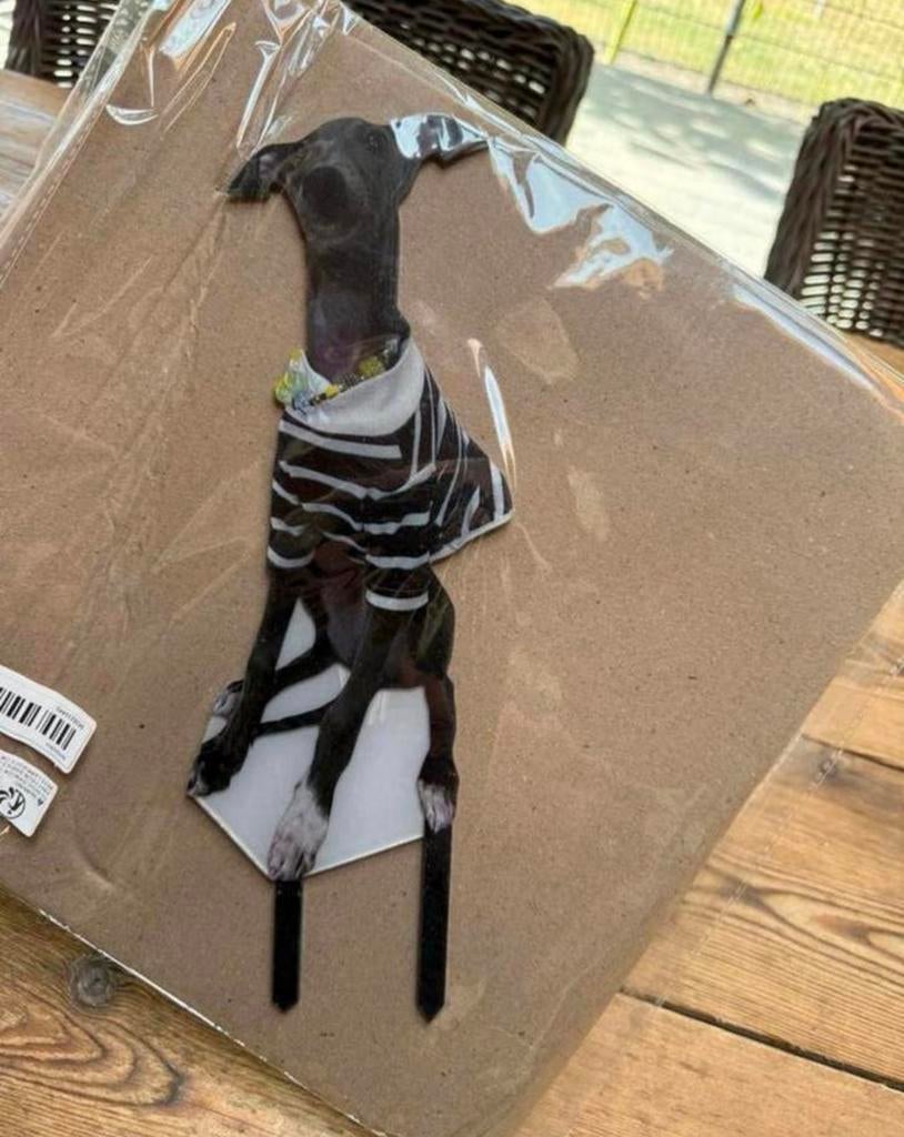 Tuinsteker windhond voor in de tuin greyhound, Verzamelen, Beelden en Beeldjes, Ophalen, Nieuw, Dier