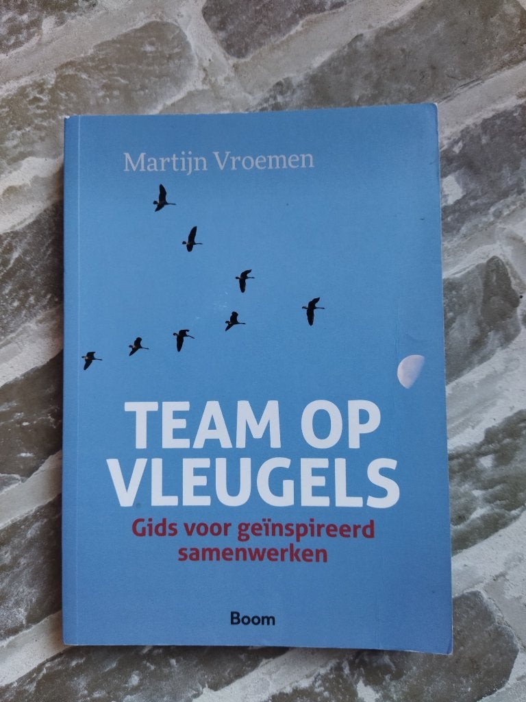Team Op Vleugels, Boeken, Martijn Vroemen, Zo goed als nieuw, Alpha, HBO