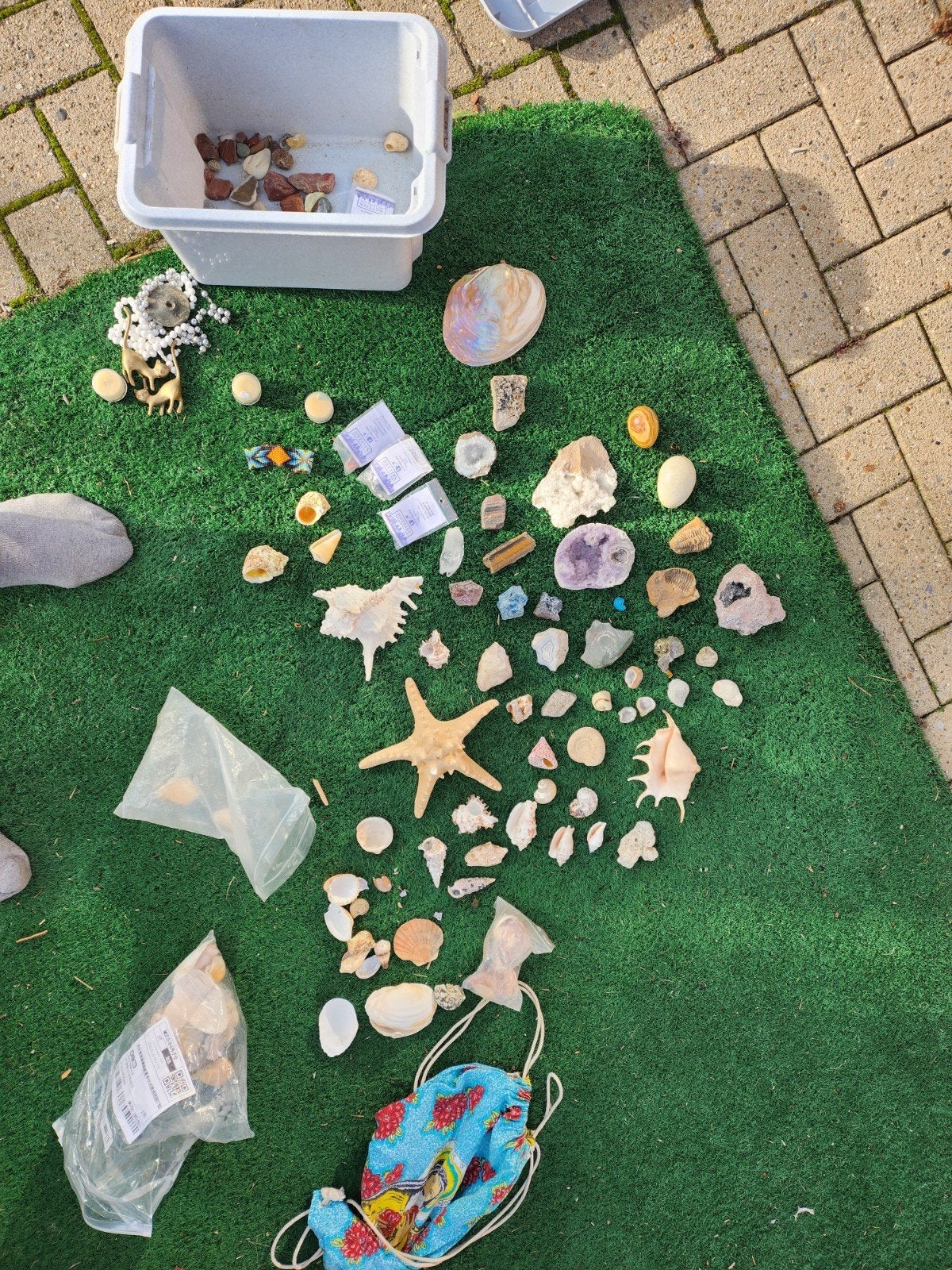 Diverse collectie mineralen, fossielen en schelpen, Ophalen of Verzenden, Overige typen