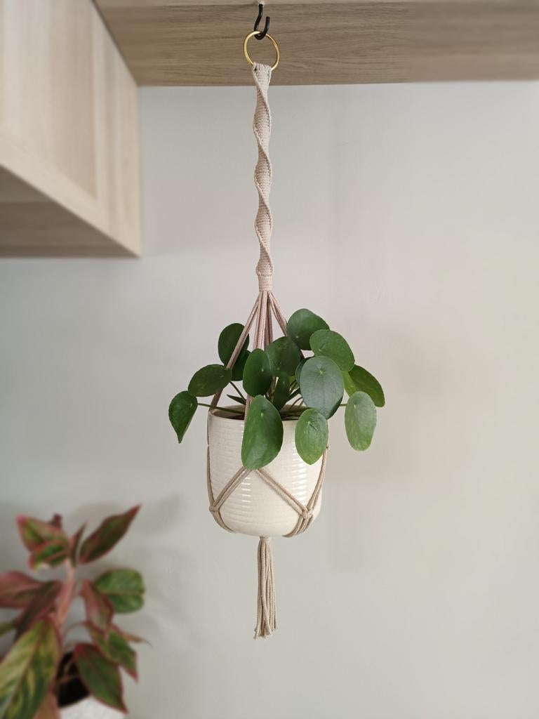 Macramé plantenhanger, Beige, Boho, Nieuw, Ophalen of Verzenden