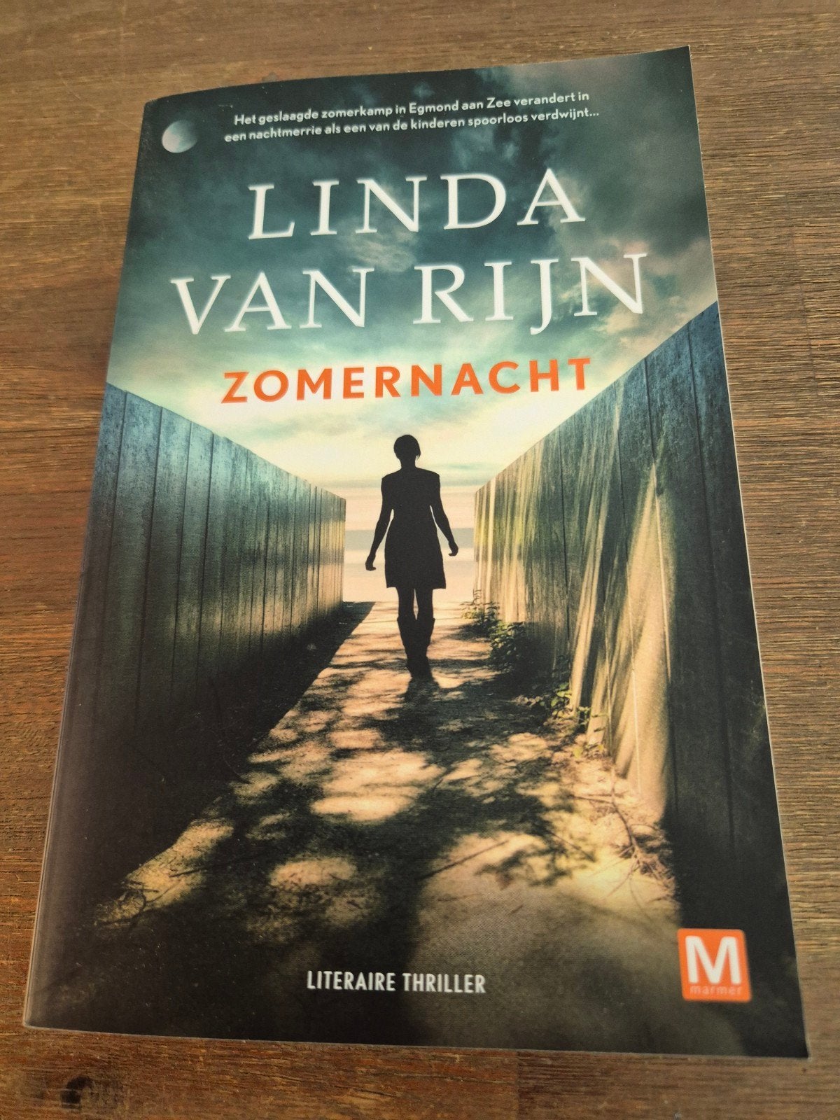 Zomernacht - Linda van Rijn (Literaire thriller), Boeken, Ophalen of Verzenden, Zo goed als nieuw, Linda van Rijn, Nederland