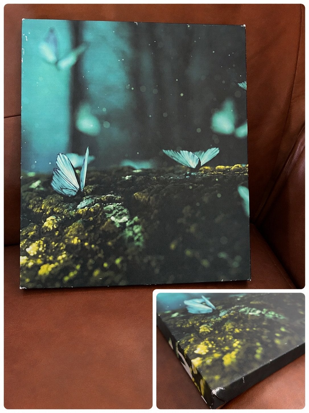 Canvas wanddecoratie vlinders groen/turquoise – 35 x 40 cm, Ophalen of Verzenden