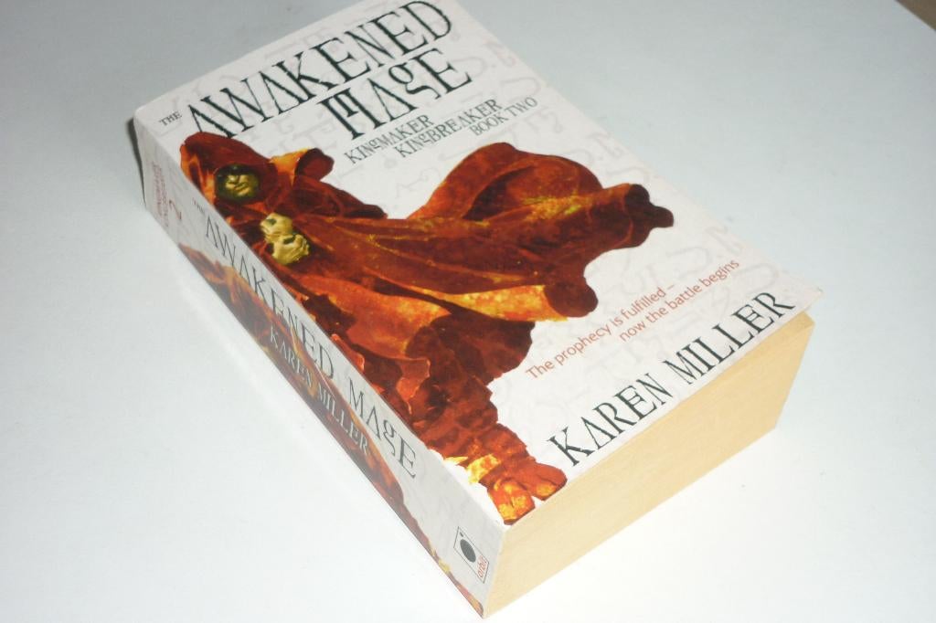 Karin Miller: the Awakened Mage, Ophalen of Verzenden, Zo goed als nieuw
